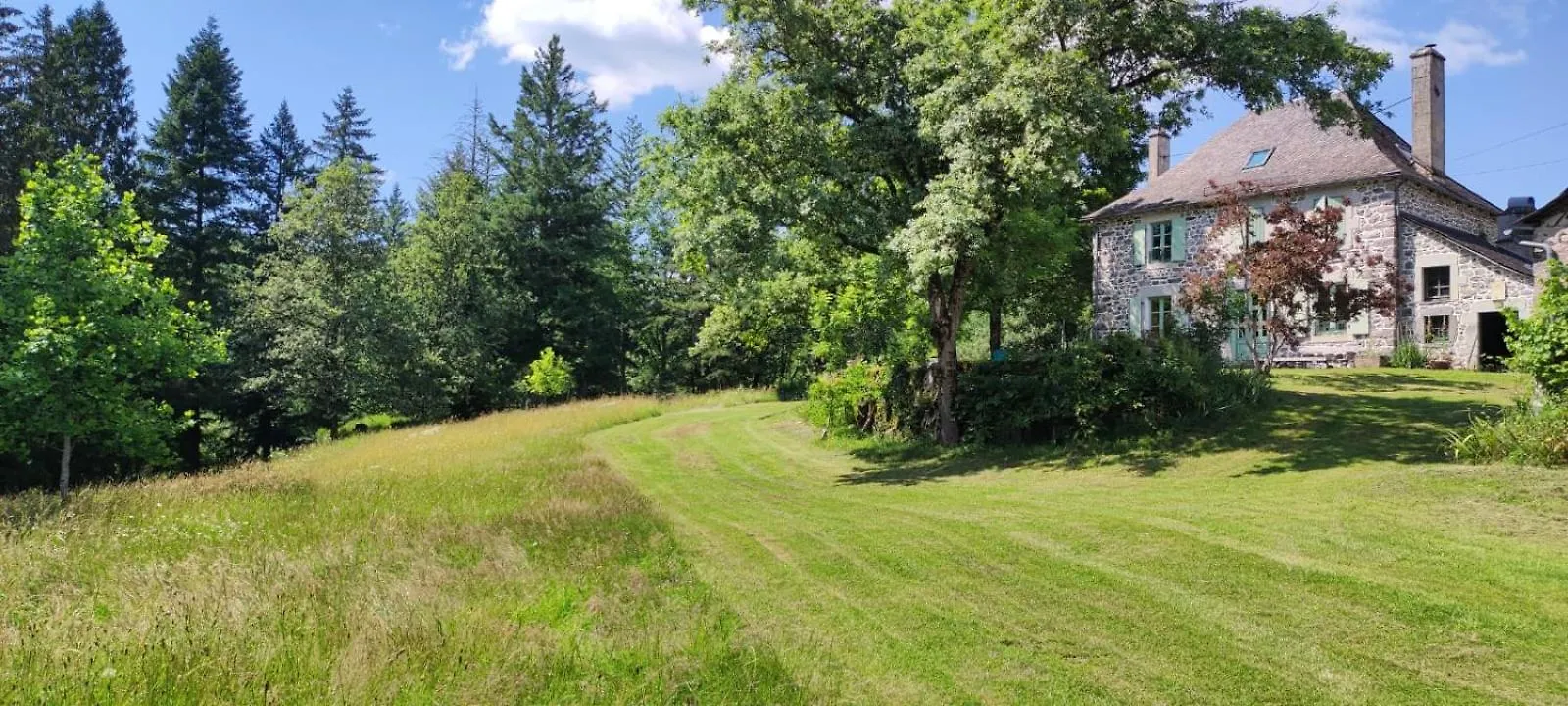 Superbe Maison De Maitre Vebret Holiday home